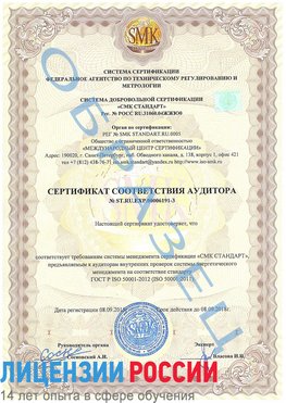 Образец сертификата соответствия аудитора №ST.RU.EXP.00006191-3 Ревда Сертификат ISO 50001